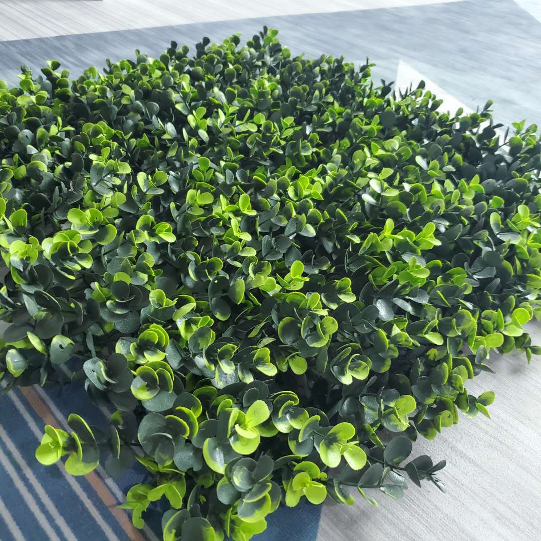 Simulación de hierba de dinero, césped, pared de plantas b1, ignífugo ignífugo eucalipto, decoración de plantas de simulación de hierba de dinero grande