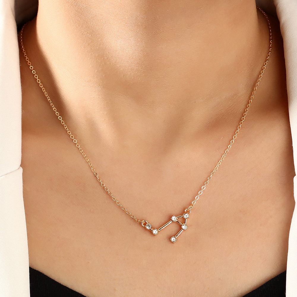 12 Twelve Constellation Diamond Necklace Brown Card Rhinestone Clavicle Chain