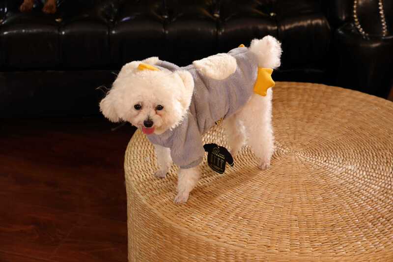 吉米娃娃新款宠物衣服两脚加棉保暖秋冬款可爱卡通小犬服狗狗衣服|undefined