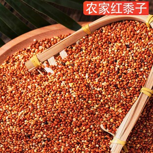 �t������؛�r�ҹ�����B�Z���|�W�^���ӌ��üZ���P����w��M