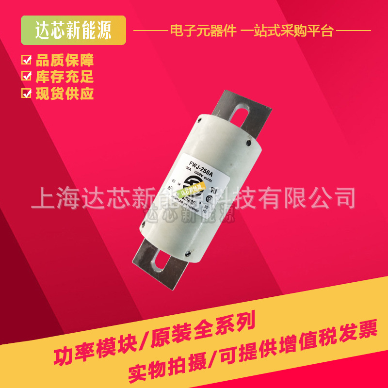 FWJ-125A FWJ-150A FWJ-175A FWJ-200A全新美国伊顿巴斯曼熔断器