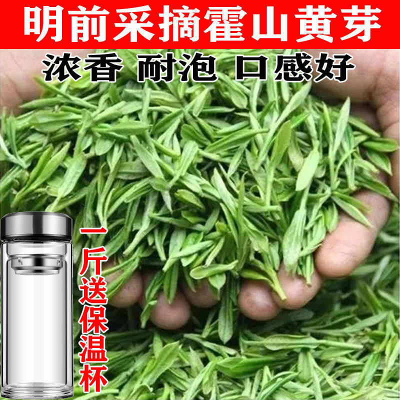 黄茶批发2022新茶明前头采纯芽〕黄芽一针两叶粗壮嫩散罐装礼品盒