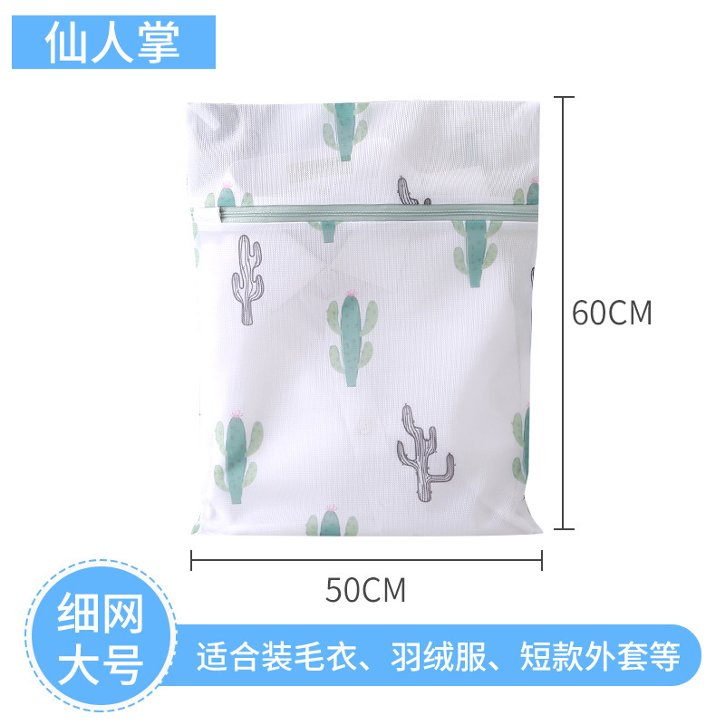 Cactus grande (50*60cm)