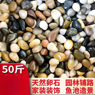 50���Z��ʯ�·�껨ʯԭʯ�^��Ȼ���b�@���ZܛʯͥԺ���̹���ʩ��