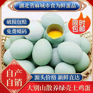 ���M���a�G�����u�����l�r�����gɢ�B�x������u���a�����r���u��