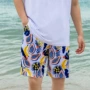 宽松速干游泳海边沙滩裤
