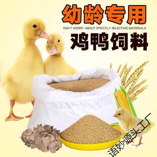 �S�ҽ������ι��С���_�����������a���w��ȫ�r�Bֳ��������