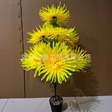 �����������S������ƷĹ�ع�Ĺ�����f�۾���צ�չܾջ���������Ȧ