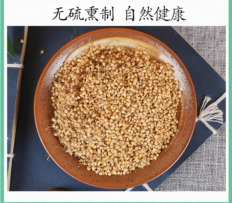 Dried Rice Sprout Gu Ya 500g Raw Herbal Decoction Pieces for Traditional TCM Use preparation