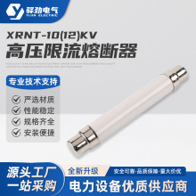 XRNT-10(12)KV  3.15-40A高压熔断器保险管 箱变保险管丝熔体