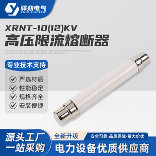 Xrnt-10(12)Kv 3.15-40A High-Voltage Fuse Tube, Transformer Fuse Tube Wire, Current-Limiting Fuse