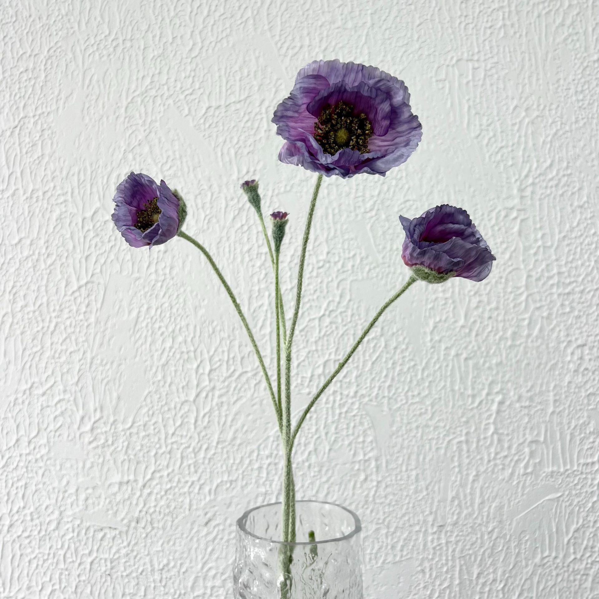 Amapola púrpura de 5 cabezas