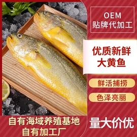 水产干货类;海带;水产礼盒类