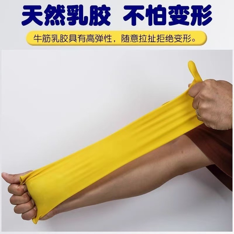 羊城