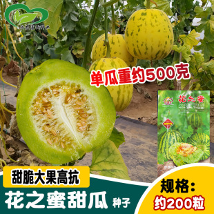 �ϝM�컨֮����ϷN��  �r��ˈ@���N�Y�����׷Nֲ�����ϷN��