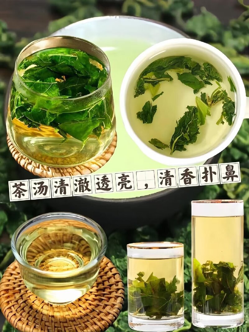 Frost-Touched Mulberry Leaf Tea (Morus alba) — Dried Mulberry Leaf for Herbal Infusion key features