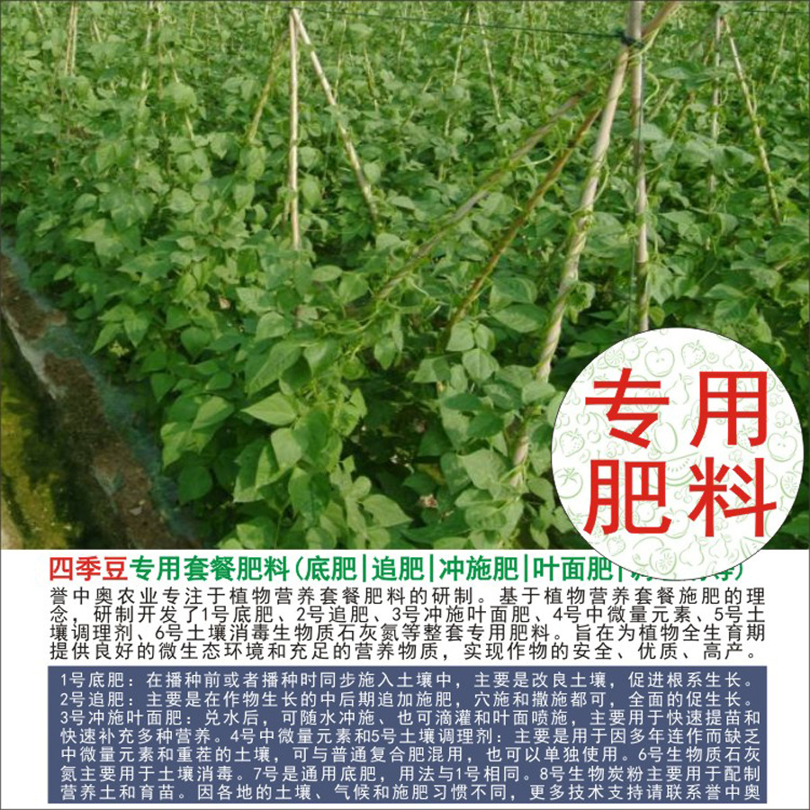 1-50а²˶ܿⶹļר÷лʸϷʵ׷׷