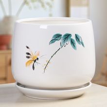 WsմɄڰׂԴ̖ش̖бP̨