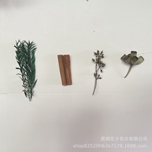 干果香薰扩香杯松塔松果干花圣诞装饰DIY拍摄道具天然手工组合