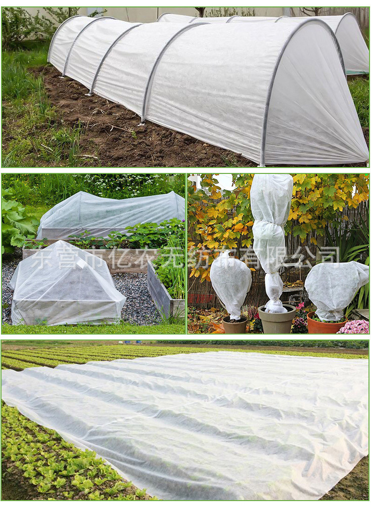 O1CN01d0W0P61bWgVmmyaOK_!!2924243473-0-cib.jpg?__r__=1722236006216