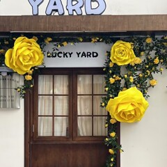 バラの大きな紙の花の黄色のバラのストーリは写真を撮影します。