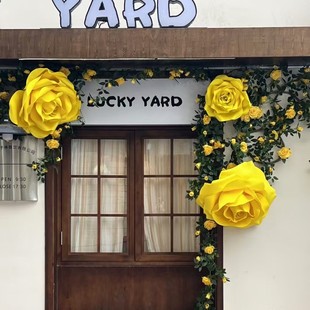 õ��󼈻��Sõ������Ĕz�����Y��@���������b�ˮ��ĭ����