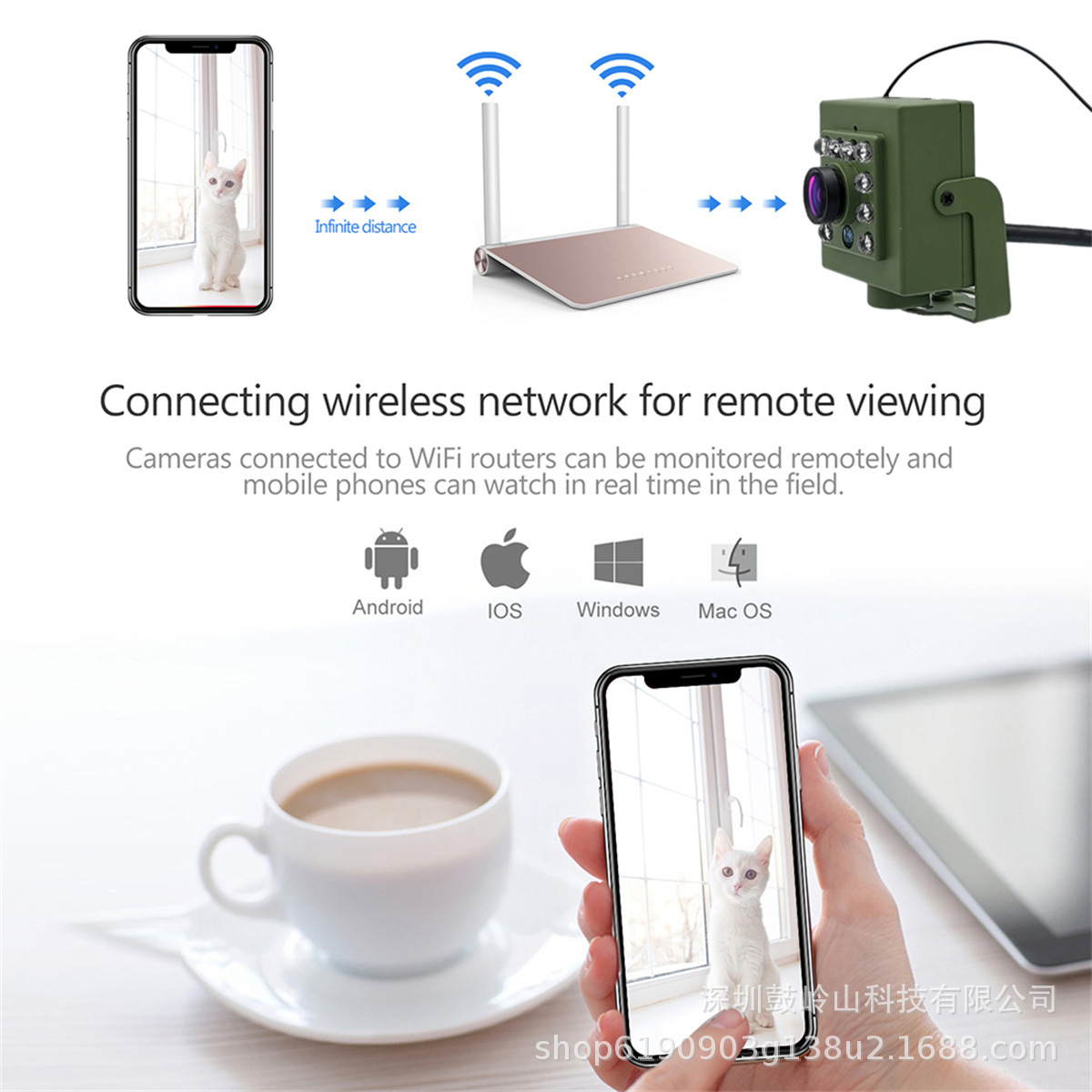Birdcage camera, bird watching, wireless wifi network, high-definition intelligent security, pet bird nest night vision monitoring, mobile AP details Picture
