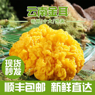 ��Ͻ���خaʳ�þ�ɢ�b�Ҝ�ʳ��ʳ�ô��ľ�������r؛���l�y��