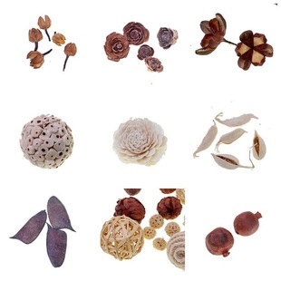 Plant Crafts Natural Dried Fruit Tongcao Flower Tongcao Ball Aromatherapy Flower Home Furnishings New Cross-border Products