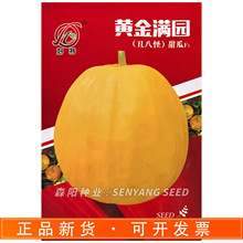 好特黄金满园丑八怪甜瓜种子早熟薄皮甜香瓜黄金瓜秋甜1号八方瓜