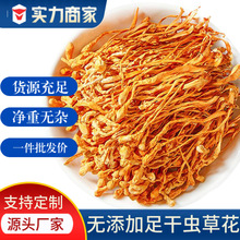 虫草花干货正宗长白山特产散装批发泡水煲汤菌食品量大价优