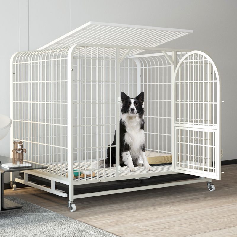 狗笼子室内大型犬中型加粗方管厕所边牧家用六面金毛拉布拉多|undefined