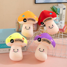 �¿�ץ�C���޹���ë�q���С���ބ���ë�q��߹��Ѓ�ͯ��ż