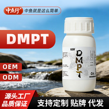 DMPT�T�~���߼�����~Сș�C�����T�����a�����c���I�_���~�D��