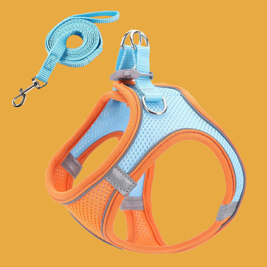 Cat Traction Rope Vest Reflective Anti-break Free Walking Cat Rope Mesh Breathable Pet Chest Strap in stock Wholesale