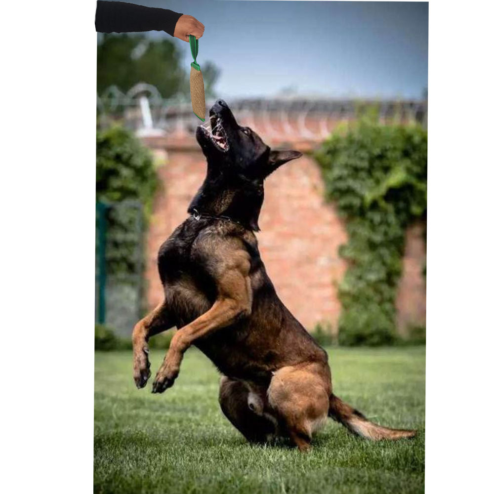 Durable Jute Dog Training Tug Toy And Pet Chew Stick Agility Aid_voghion.com