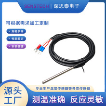 KPT100P⚤zоo׾UͶy.