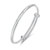 Z88 (Silver Silver)