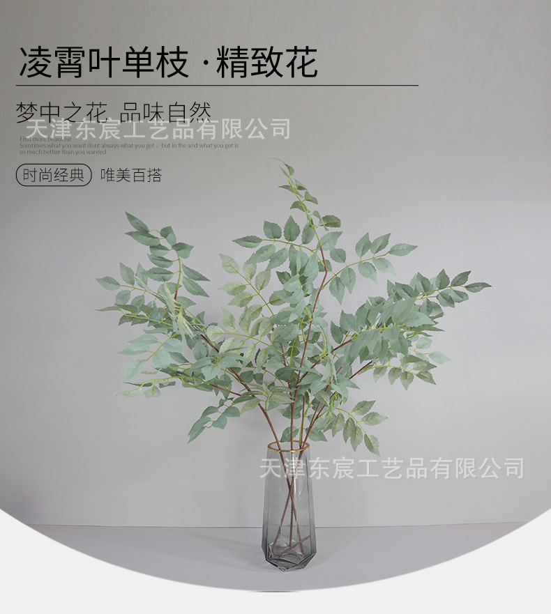 详情_05.png