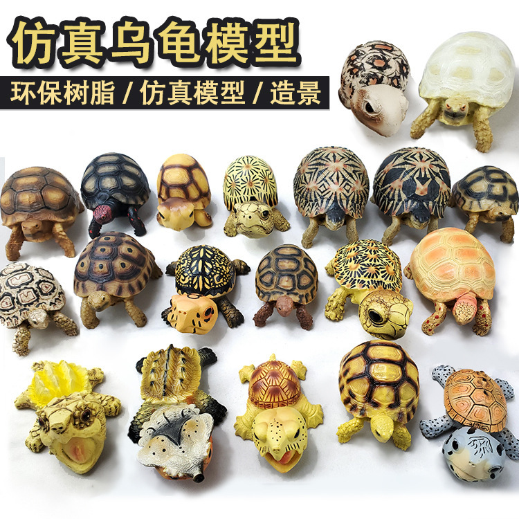 爬虫乌龟 陆龟 动物模型 红腿 苏卡达 陆龟饲养箱摆设造景 树脂