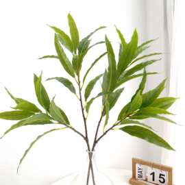 仿真芒果叶香芒叶过胶假树枝园林造景假芒果树装饰绿叶子绿植花材