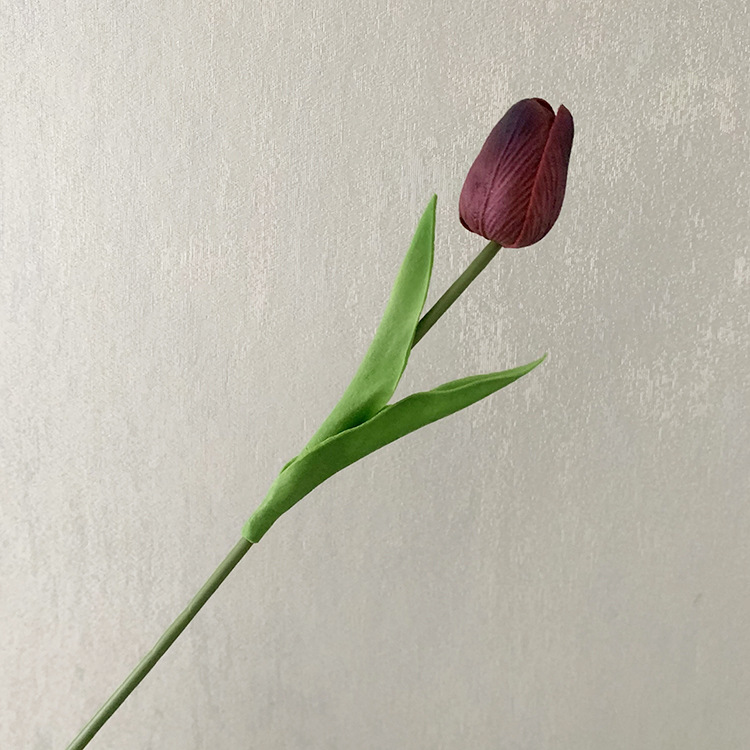 다크 레드