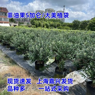 쳝����͹����Զ������ͺ��͟Ứ��ľ�{�Gɫϵ��Ʒ����ͥԺ�^�p��