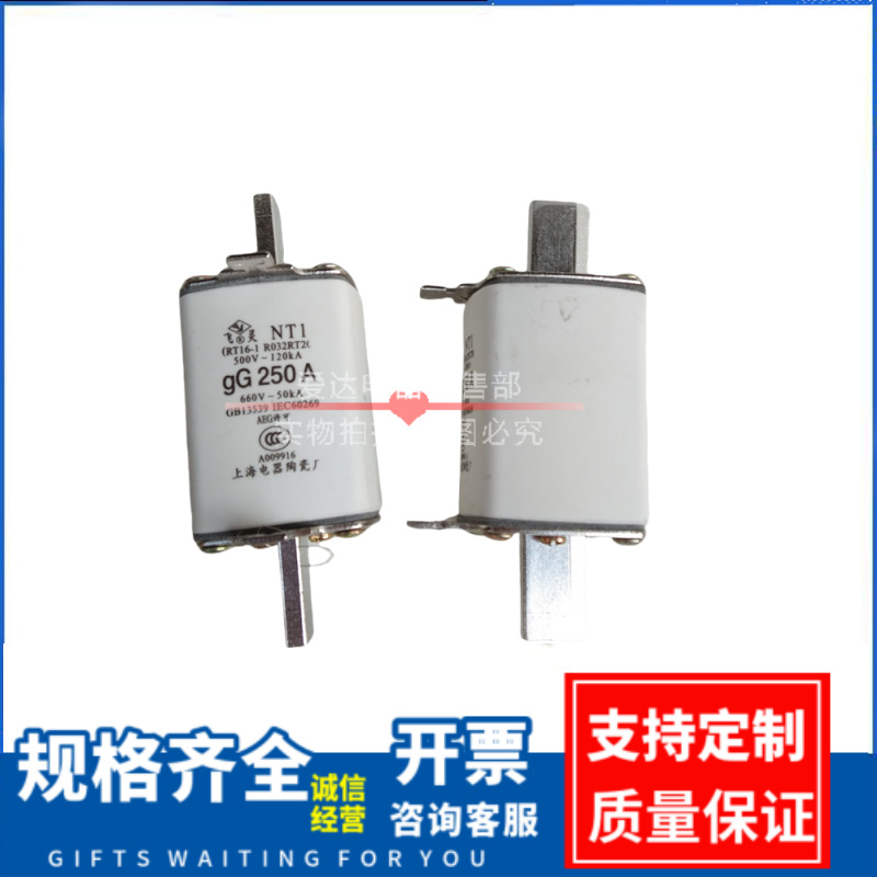 熔断器 gG160A 200A 250A插入式熔芯 陶瓷 NT1-250 RT16-1飞灵