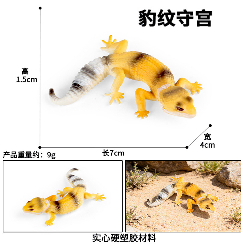 M-2361 Gecko leopardo