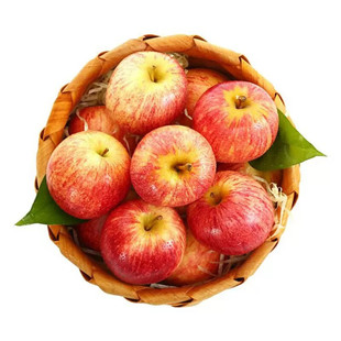 �V�ݽ������l����S�������M�ڸ�����������royalGala�O��