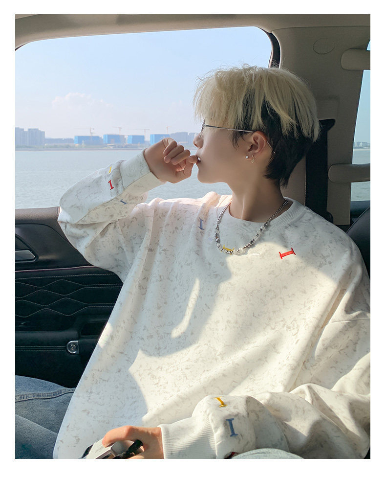 Embroidered Crew Neck Long Sleeve Pullover For Men Casual Top_voghion.com