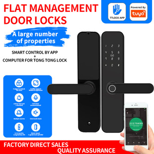 TTLOCK all-in-one lock Tuya graffiti Amazon cross-border foreign trade 28 languages American standard smart fingerprint password lock