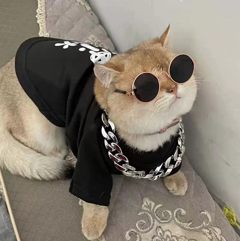 Accesorios para gatos para mascotas, gafas pequeñas, personalidad encantadora, vestido para fotos, gafas de sol para gatos, gafas para gatos