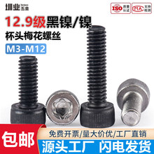 �懺��12.9�����^��÷�����ݽzᔈA���^��������˨M5M8M10M12